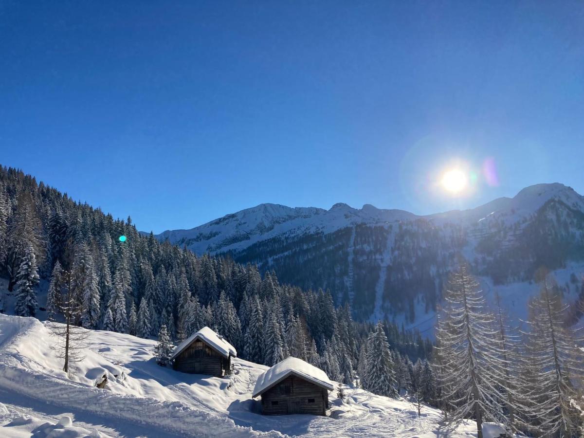 Appartementhaus Sky Lodge Альтенмаркт  Экстерьер фото